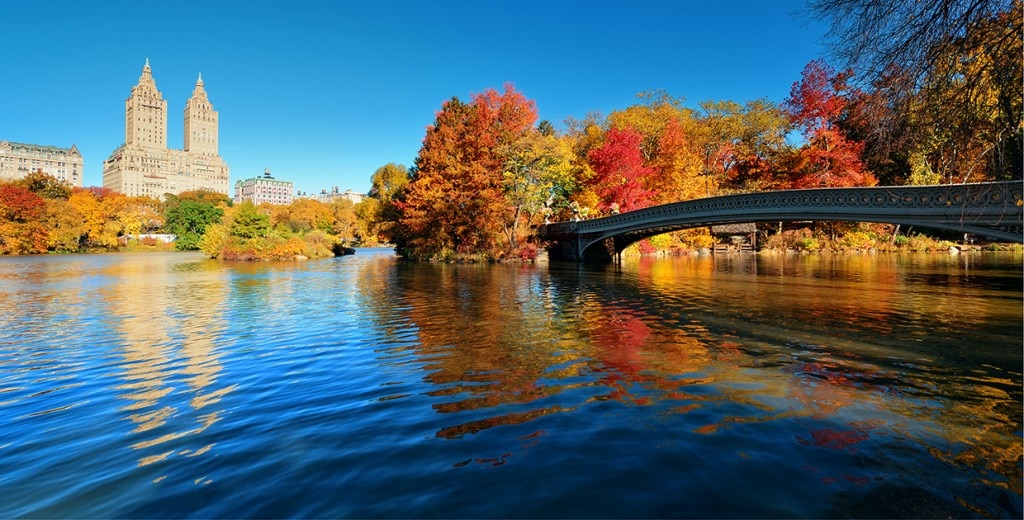 Fall Fun in New York City