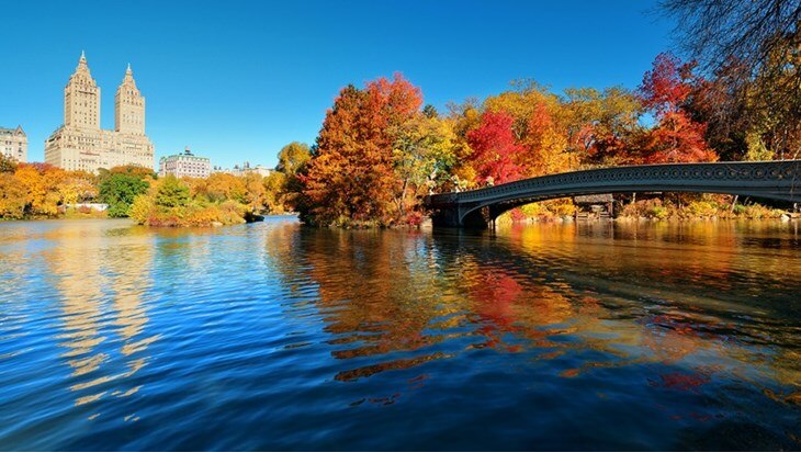Fall Fun in New York City