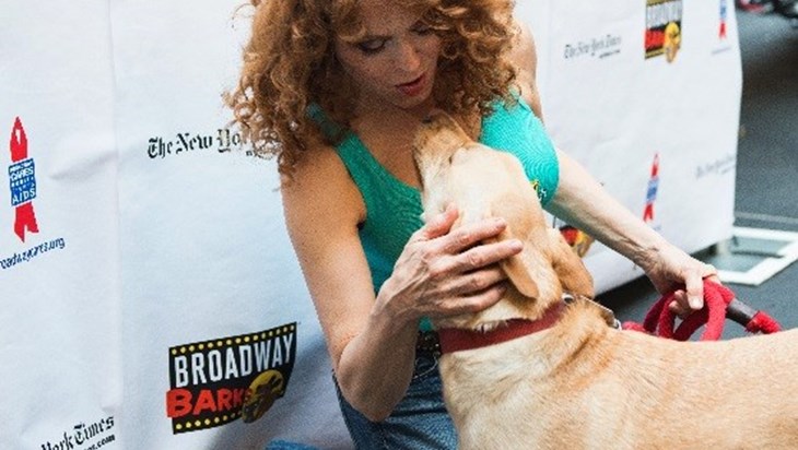 Pets Steal The Show At The 20th Annual Broadway Barks