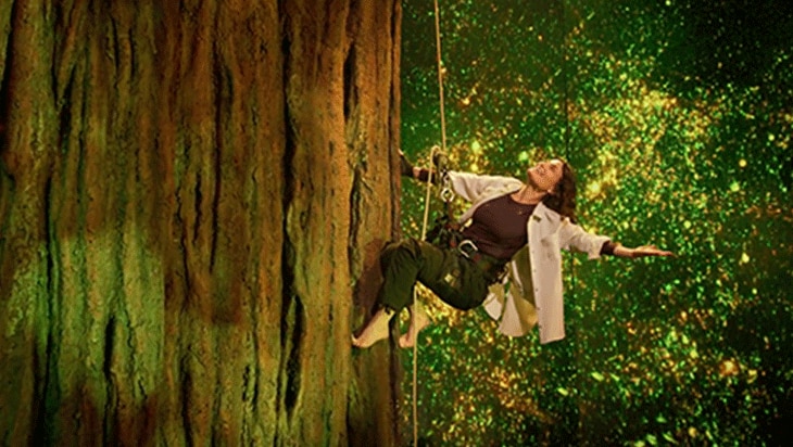 Video: Redwood is Now on Broadway!