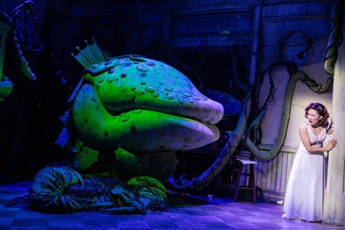 Little Shop of Horrors Off Broadway Musical Tickets and Group Sales Discounts