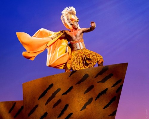 Lion King Broadway Musical Group Sales Tickets