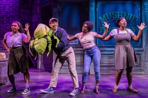 Little Shop of Horrors Off Broadway Musical and Group Sales Discounts