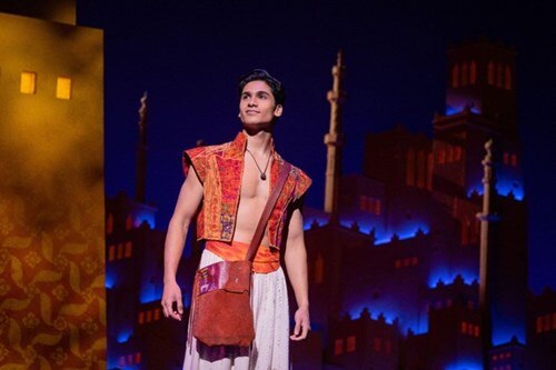 Aladdin Broadway Musical Group Sales and Information