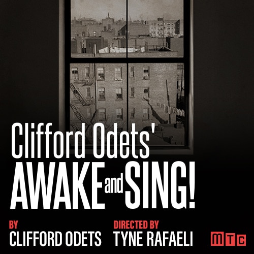 Awake and Sing Broadway Play Group Sales