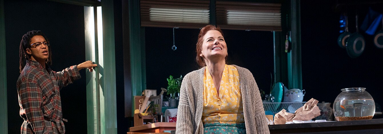 Birthday Candles Group Discount Broadway Play Debra Messing