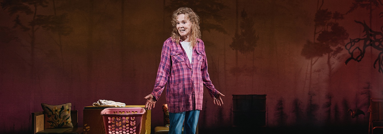 Call Me Izzy Jean Smart Broadway Play Group Sales