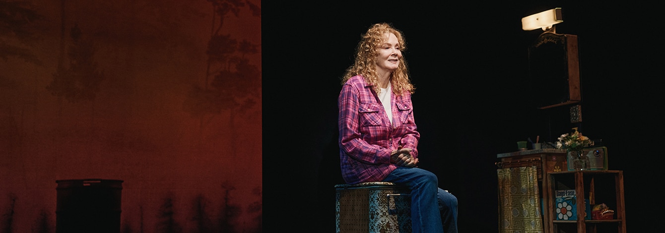Call Me Izzy Jean Smart Broadway Play Group Sales