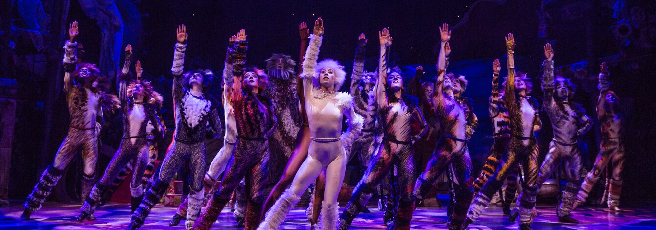 Cats Musical Revival Broadway Show Tickets Group Sales