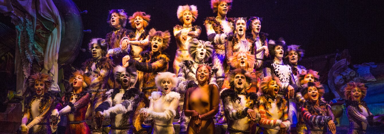 Cats Musical Revival Broadway Show Tickets Group Sales