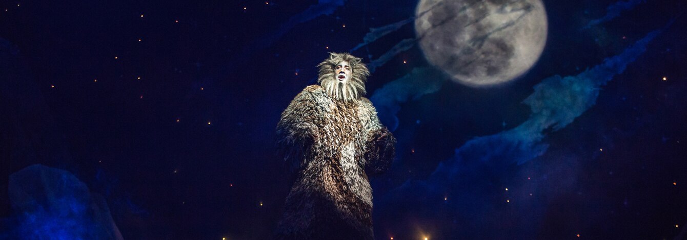 Cats Musical Revival Broadway Show Tickets Group Sales