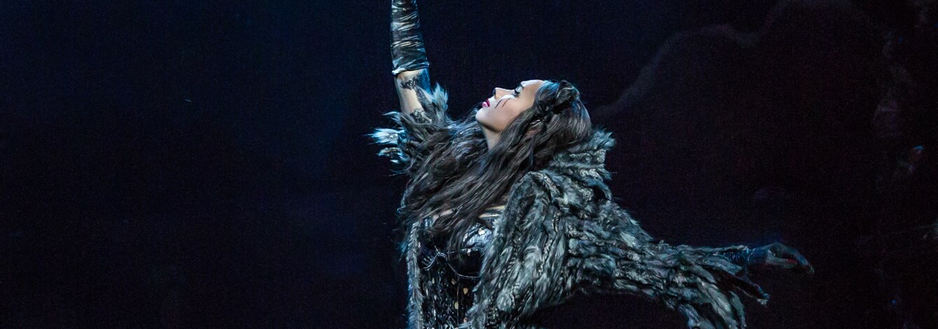 Cats Musical Revival Broadway Show Tickets Group Sales