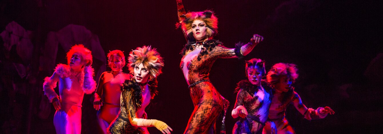 Cats Musical Revival Broadway Show Tickets Group Sales