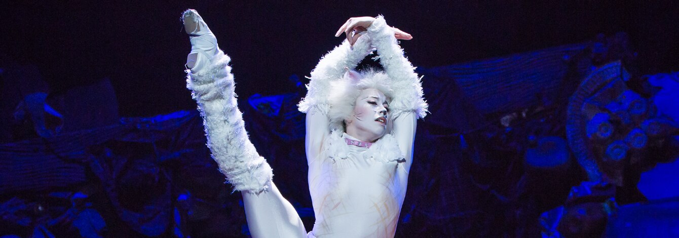 Cats Musical Revival Broadway Show Tickets Group Sales