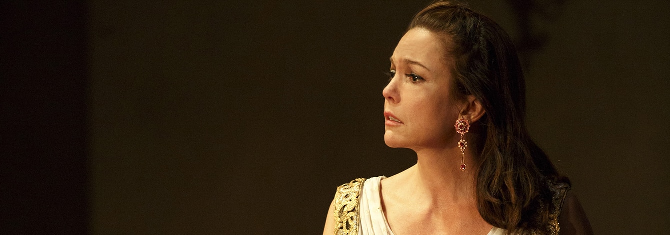 Cherry Orchard Diane Lane Broadway Show Tickets Group Sales