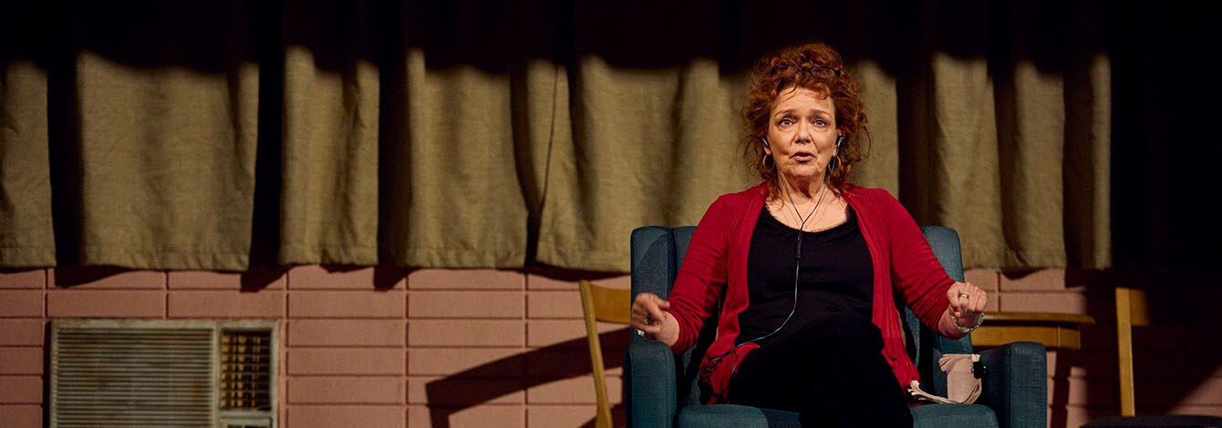 Dana H Tickets Broadway Play Group Discount
