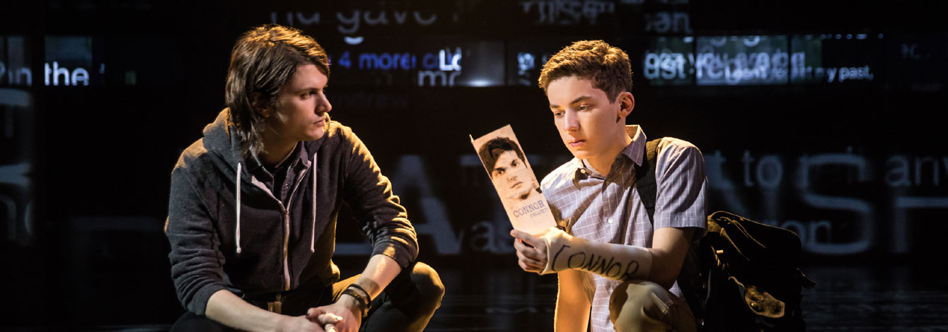 Dear Evan Hansen Broadway Musical Group Sales Tickets