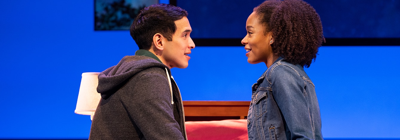 Dear Evan Hansen Musical Broadway Group Discount Tickets