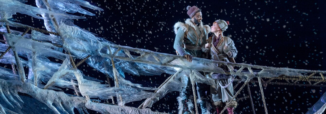 Disneys Frozen Broadway Musical Show Tickets Group Sales