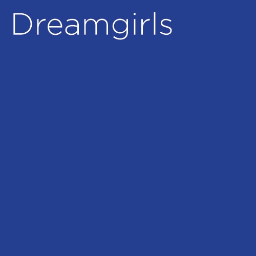 Dreamgirls Broadway Musical Revival Show Group Discount Tickets