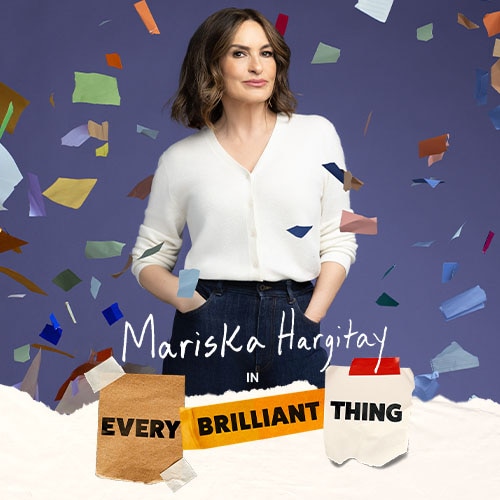 Every Brilliant Thing Daniel Radcliffe Broadway Play Tickets Group Sales