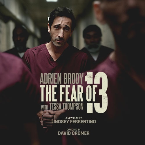 Fear of 13 Adrien Brody Broadway Play Group Sales Tickets