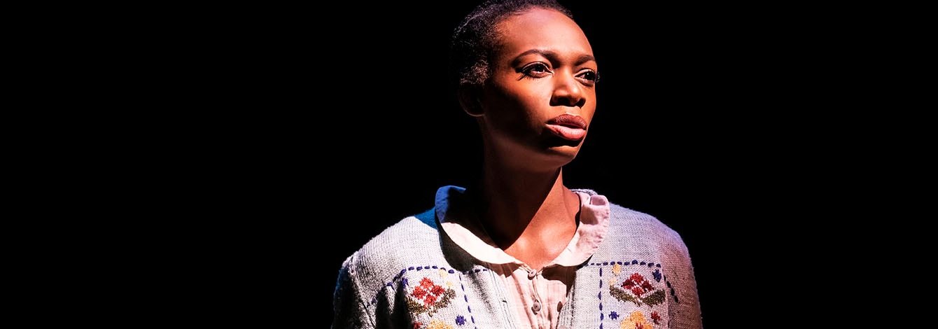Girl From The North Country Bob Dylan Musical Broadway Group Discount Tickets