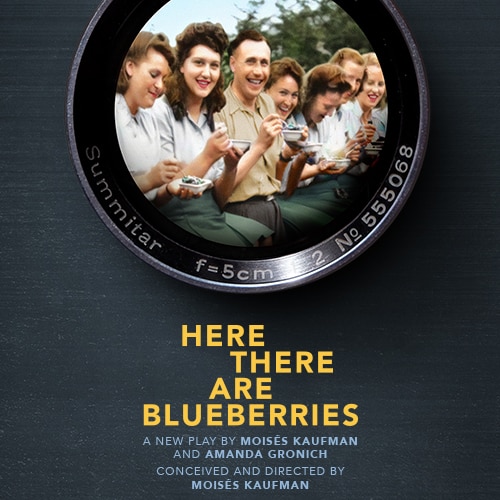 Here There are Blueberries Broadway Play Tickets Group Sales