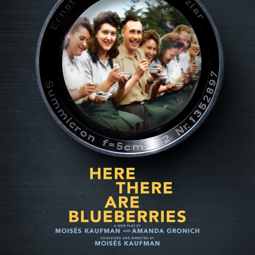 Here There are Blueberries Broadway Play Tickets Group Sales