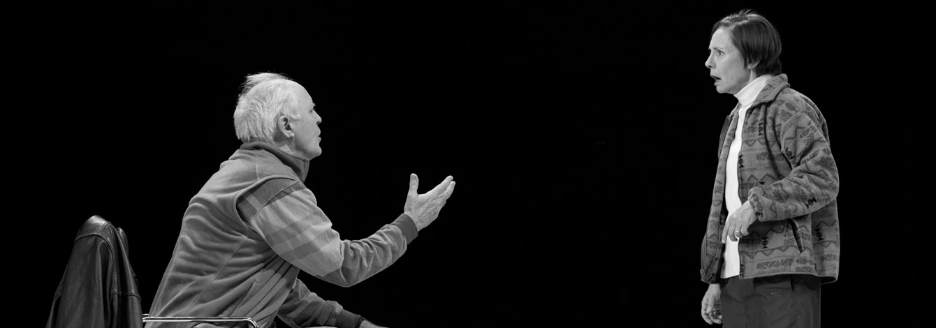 Hillary and Clinton Laurie Metcalf Broadway Show Group Discount Tickets