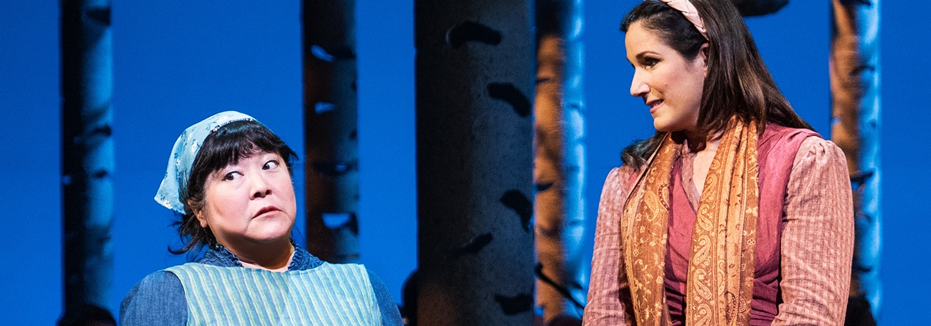 Into the Woods Tickets Broadway Group Discounts