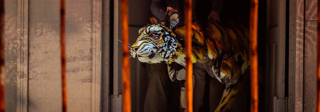 Life of Pi Broadway Play Group Discount Tickets