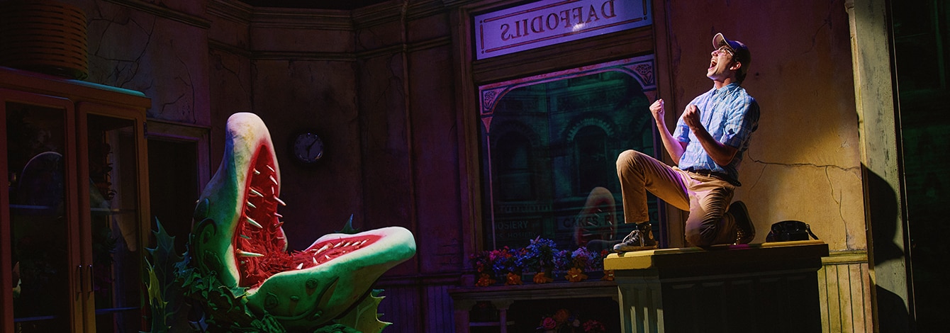 Little Shop of Horrors Tickets Group Discounts