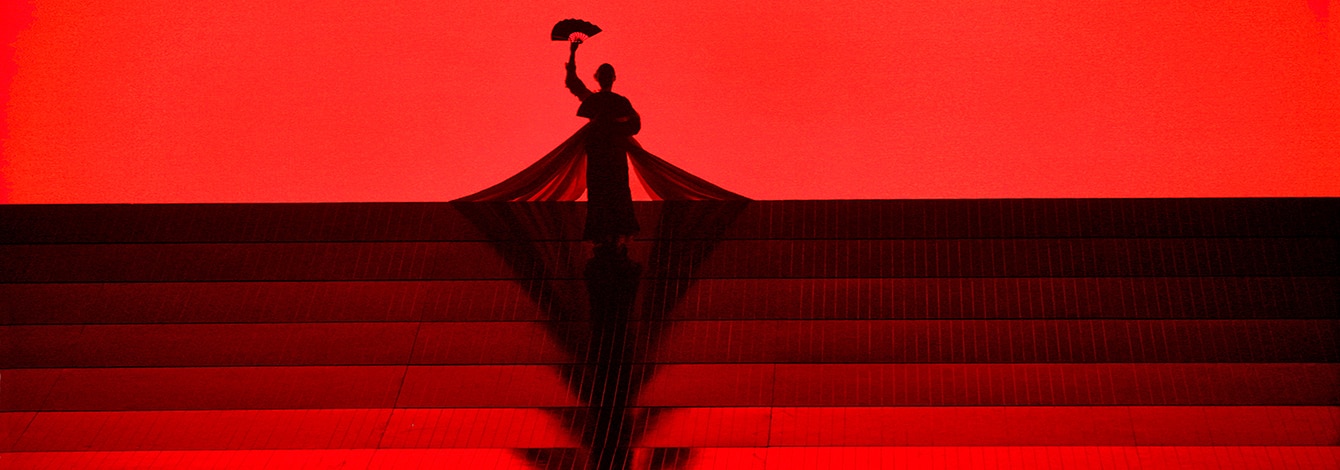Met Opera Group Discount Tickets