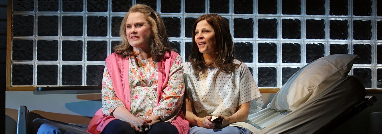 Marvins Room Broadway Show Tickets Group Sales