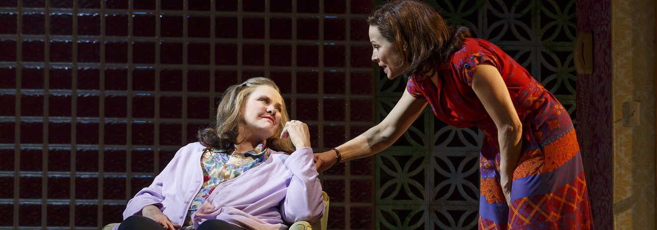 Marvins Room Broadway Show Tickets Group Sales