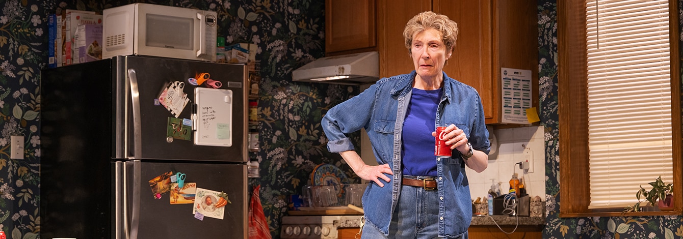 Mary Jane Broadway Play Rachel McAdams Group Tickets