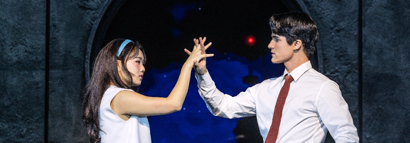 Maybe Happy Ending Broadway Musical Group Sales Tickets