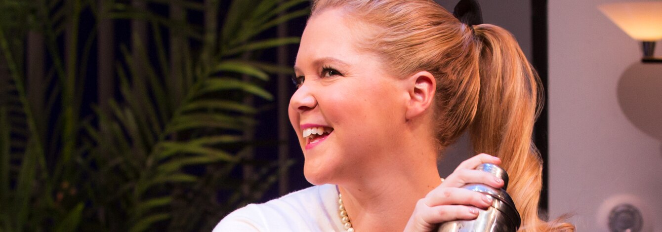 Meteor Shower Amy Schumer Broadway Show Tickets Group Sales