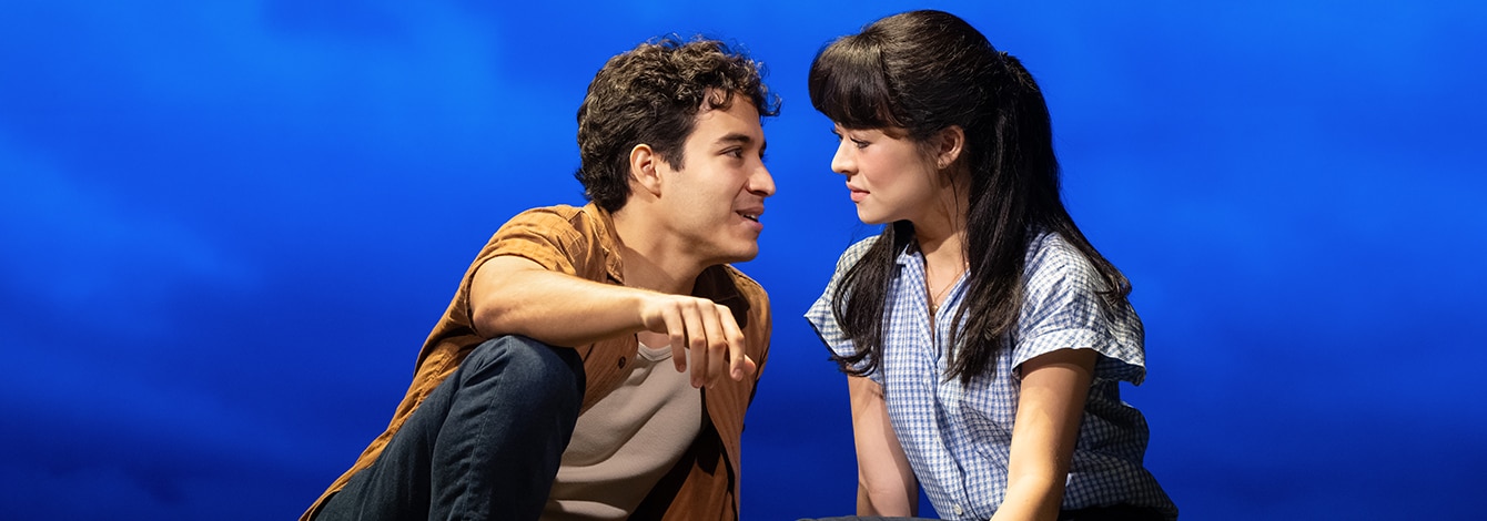 The Notebook Broadway Musical Group Sales Tickets