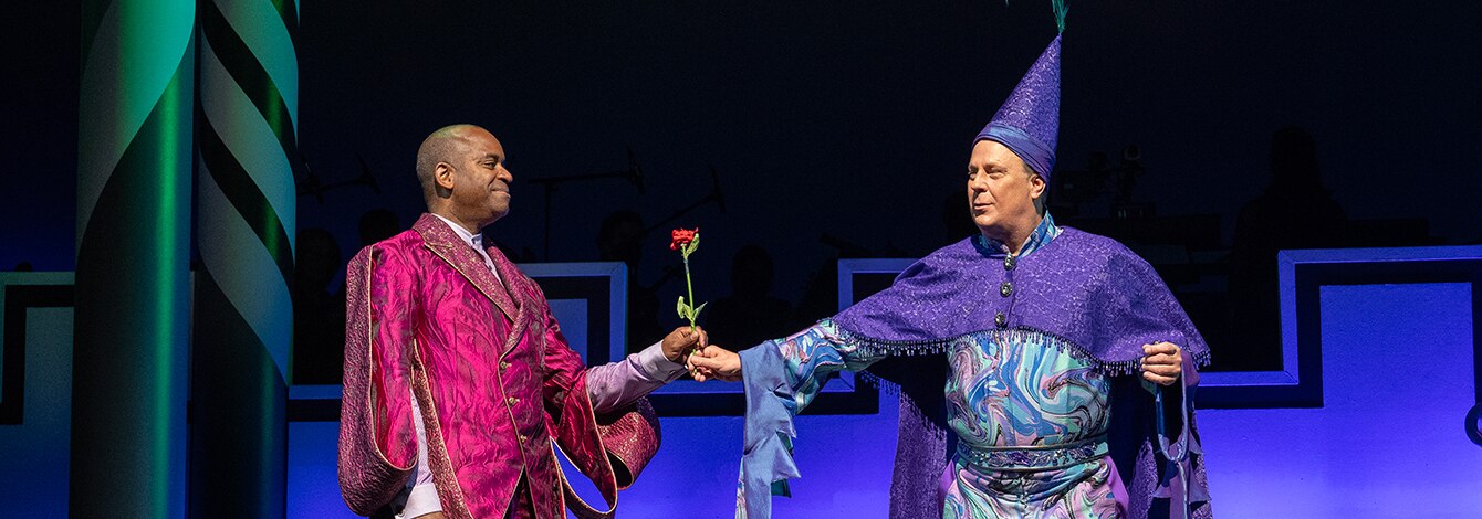 Once Upon a Mattress Sutton Foster Group Sales Tickets