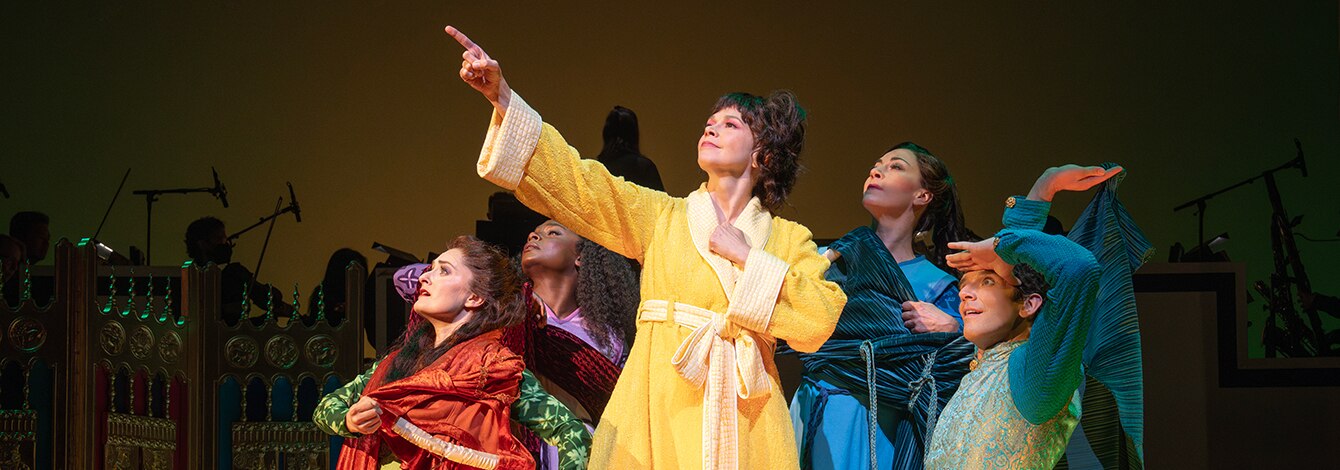 Once Upon a Mattress Sutton Foster Group Sales Tickets
