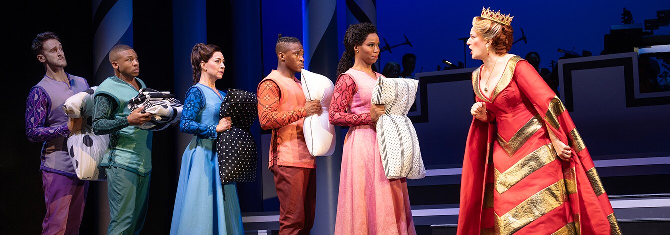 Once Upon a Mattress Sutton Foster Group Sales Tickets