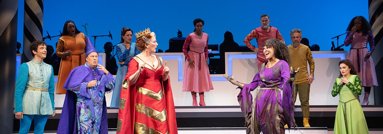 Once Upon a Mattress Sutton Foster Group Sales Tickets