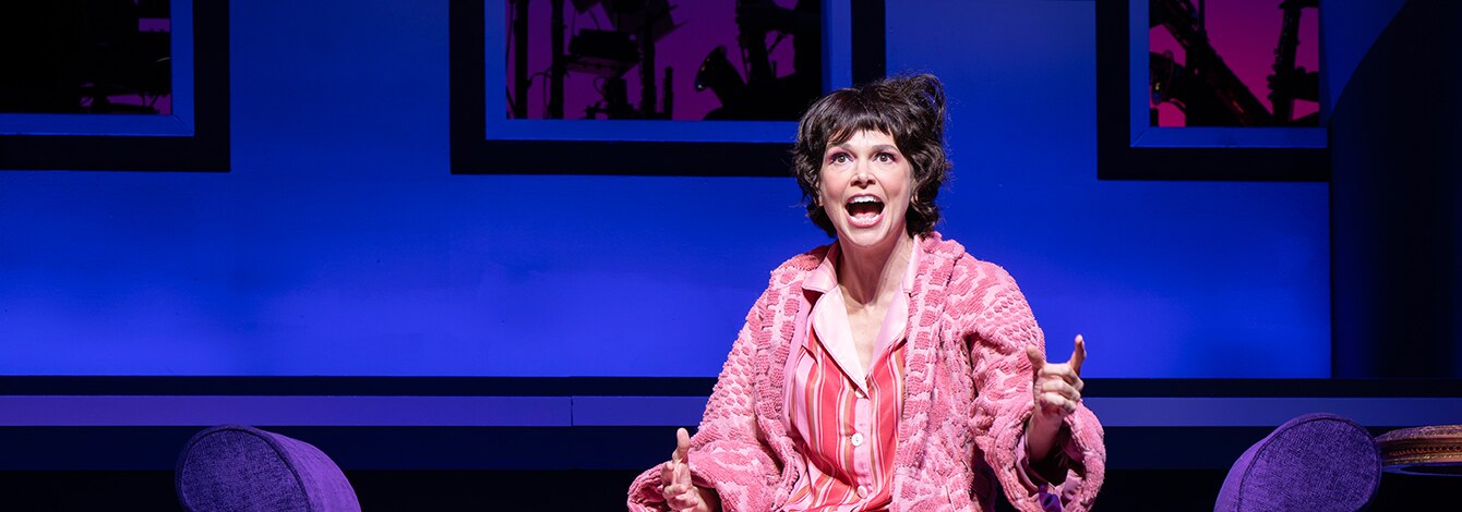 Once Upon a Mattress Sutton Foster Group Sales Tickets