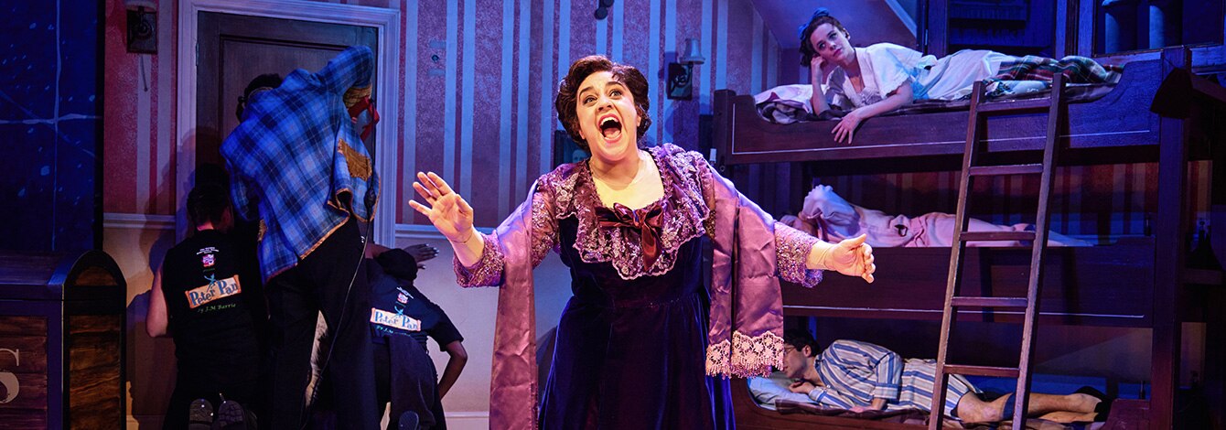 Peter Pan Goes Wrong Broadway Show Tickets Group Discounts