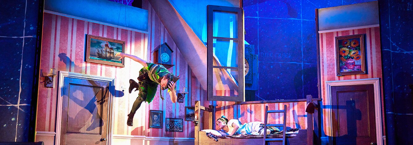 Peter Pan Goes Wrong Broadway Show Tickets Group Discounts