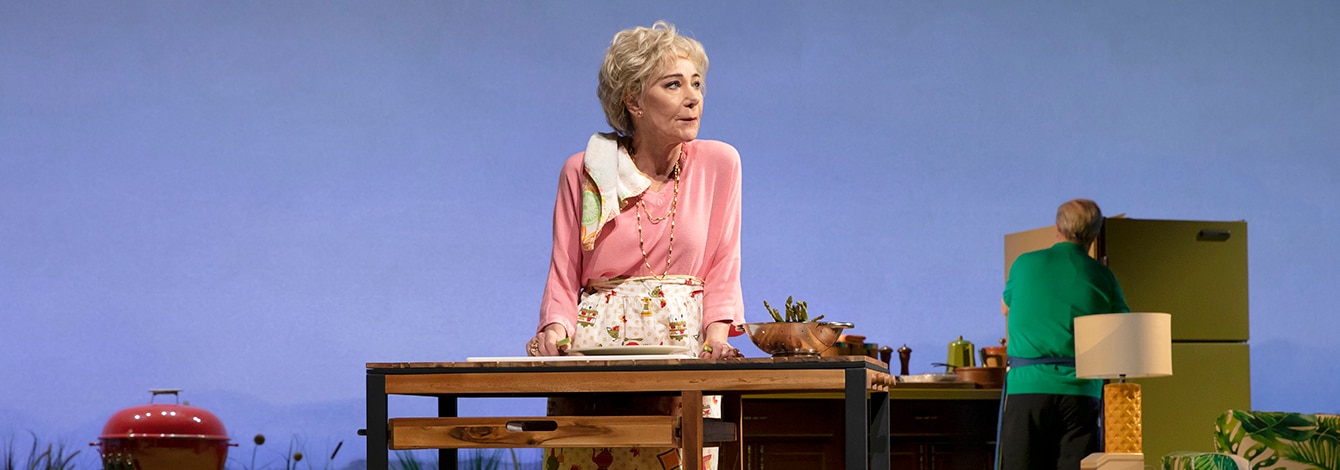 Pictures from Home Broadway Play Group Discount Tickets