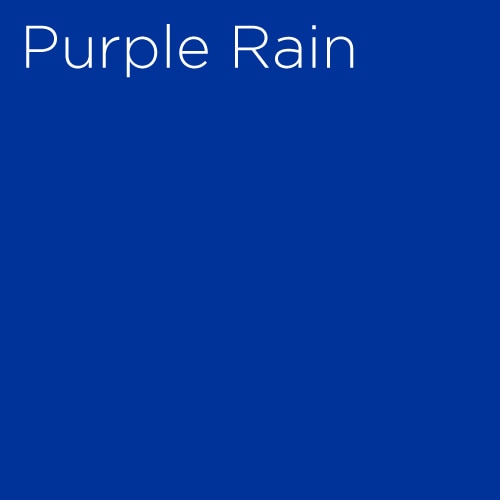 Purple Rain Broadway Musical Group Sales Tickets