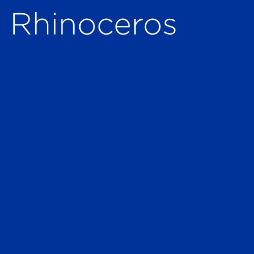 Rhinoceros Broadway Play Roundabout Group Sales Tickets